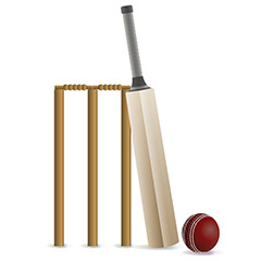 Cricket