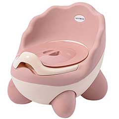 Potty Chair & Seat