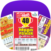 Lottery Tickets